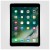 تبلت اپل آیپد ایر 2 سلولار APPLE IPAD AIR 2 CELLULAR 