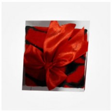 جعبه کادویی طرح روبان Red Gift Box