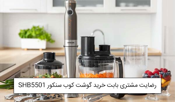 گوشت کوب برقی 1000 واتی سنکور SENCOR SHB5501CH