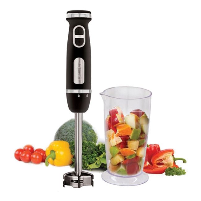 گوشت کوب برقی دلمونتی تک کاره Delmonti DL100