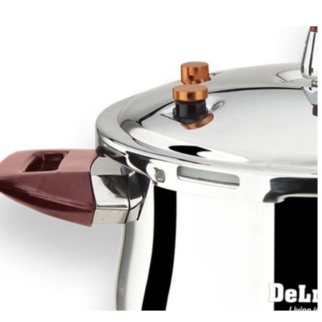 زودپز استیل دلمونتی 6 لیتری مدل DL1010 روگازی