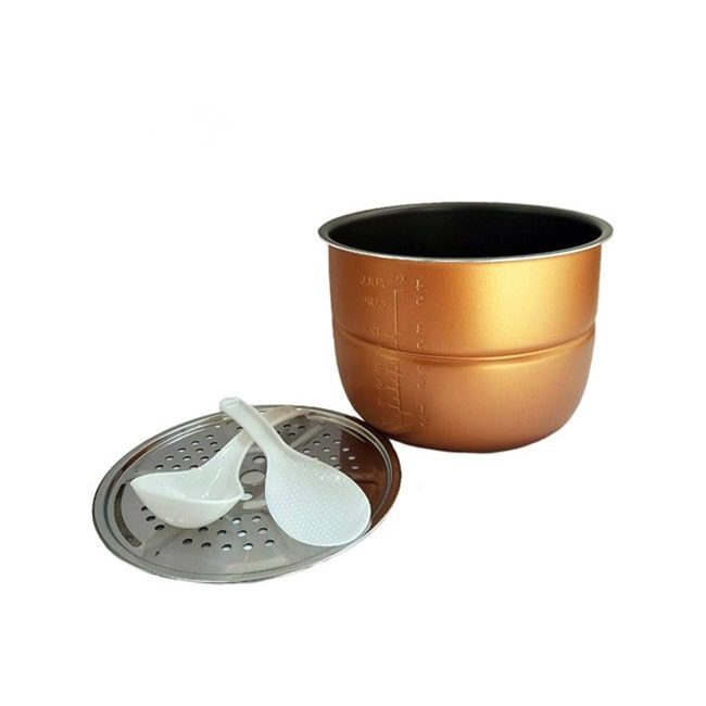 زودپز 1000 وات چندکاره دلمونتی DL490D